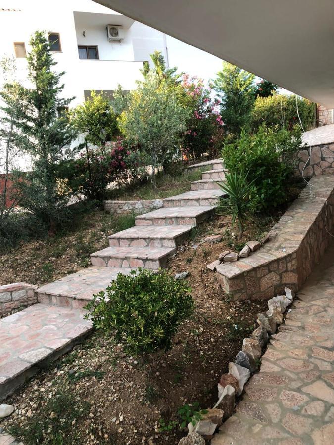 Osmani 1